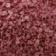 Merlot